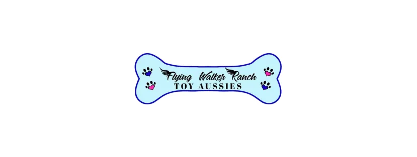 Flying Walker Toy Aussies