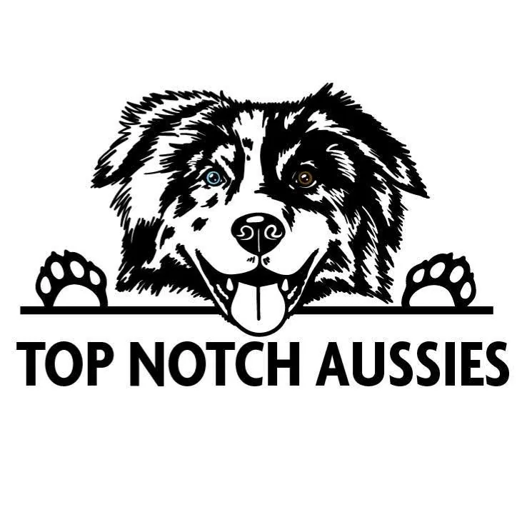 Mirandas Top Notch Aussies