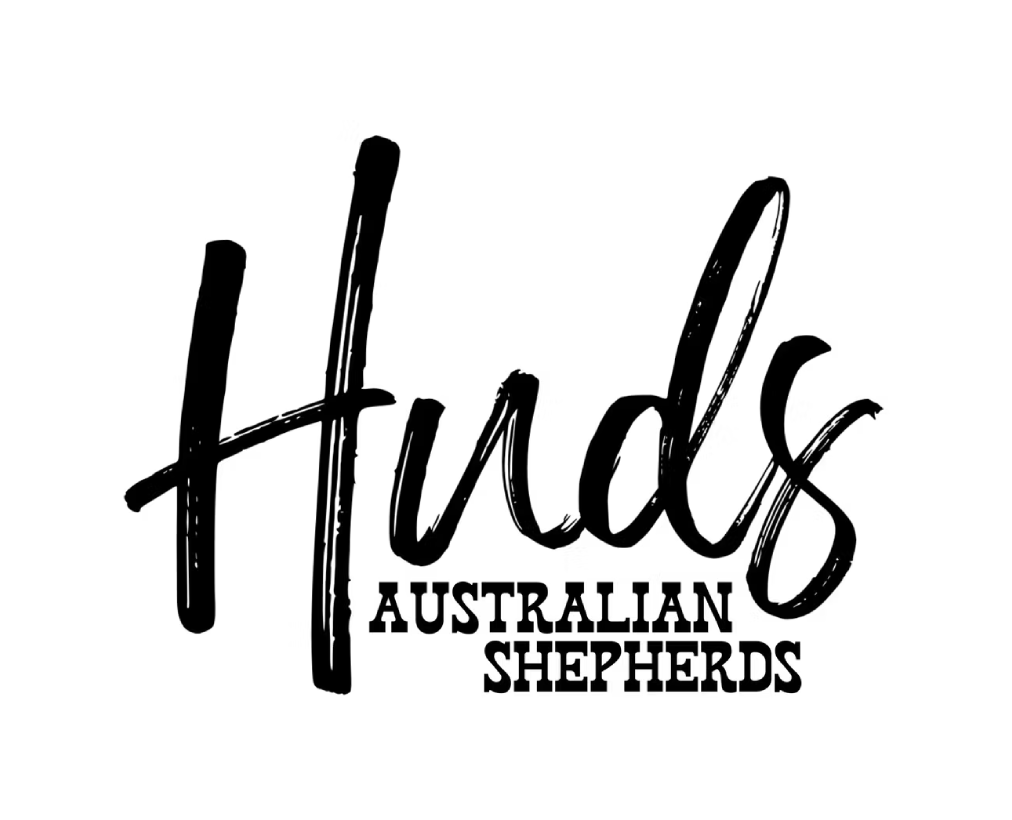 Huds Australian Shepherds