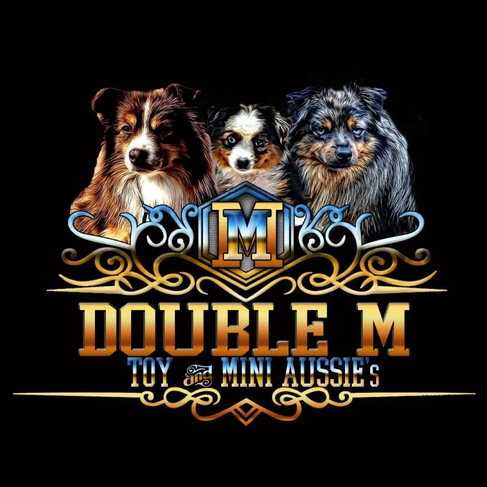 Double M Toy & Mini Aussie's