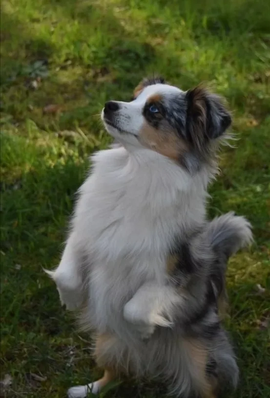 Patti